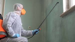 Best Biohazard Mold Removal in USA